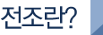 전조란?